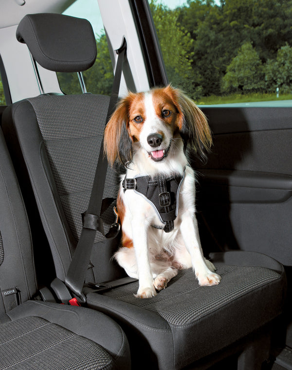 Trixie Bilsele til hund er en sikkerhetssele som er laget av myk og sterk nylon.  Festespennen til bilen kan også brukes til kobbel/leiebånd. Selen har ekstra polstring rundt hals, bryst og buk som gjør selen behagelig for hunden. Selen har fine refleksdetaljer og kan også brukes som sele på gå- og sykkelturer. Str. S-M